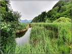 foto Lago di Lases